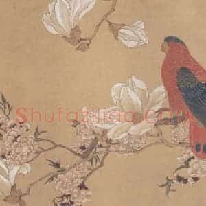陈之佛《玉兰鹦鹉图》国画花鸟作品图片赏析