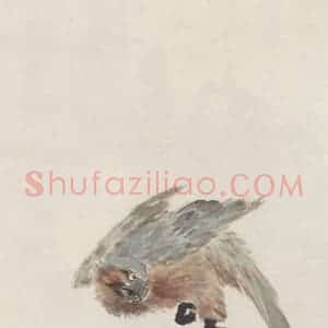 王云《紫藤鹦鹉图》国画花鸟作品图片赏析