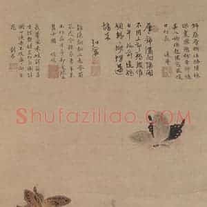 明代 戴进《葵石蛱蝶图》国画花鸟作品图片赏析