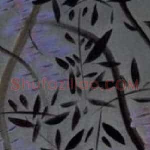 2007年 杨福音《紫藤四屏》国画花鸟写意作品图片赏析