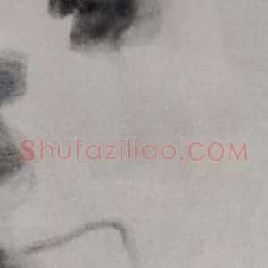 2007年 杨福音《清静》国画花鸟写意作品图片赏析