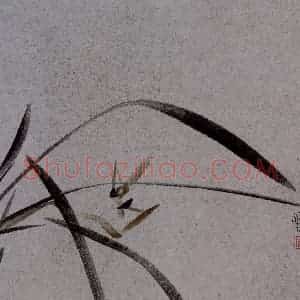 2007年 杨福音《兰花册页》国画花鸟写意作品图片赏析