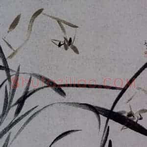 2007年 杨福音《兰花册页》国画花鸟写意作品图片赏析