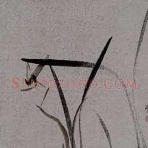 2007年 杨福音《兰花册页》国画花鸟写意作品图片赏析