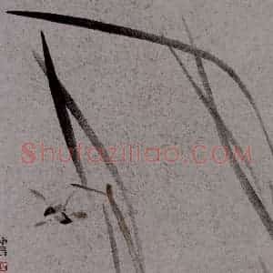 2007年 杨福音《兰花册页》国画花鸟写意作品图片赏析
