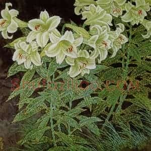 1993年 金鸿钧《夏梦》国画花鸟作品图片赏析