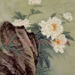 1978年 金鸿钧《白芍药花》国画花鸟作品图片赏析