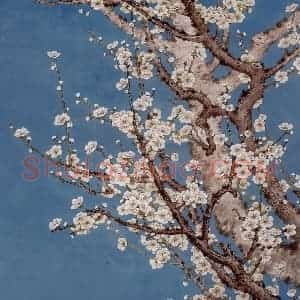 1977年 金鸿钧《白梅》国画花鸟作品图片赏析