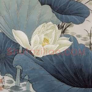 1989年 金鸿钧《白荷蜻蜓》国画花鸟作品图片赏析