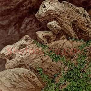 1989年 金鸿钧《石魂》国画花鸟作品图片赏析