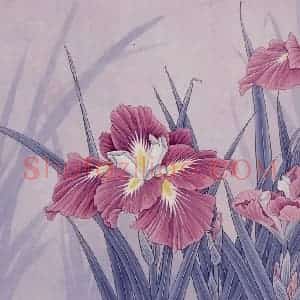 1992年 金鸿钧《紫鸢》国画花鸟作品图片赏析