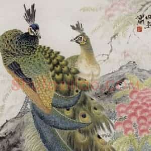 1987年 段忻然《孔雀》国画花鸟作品图片赏析