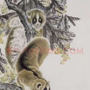 1977年 段忻然《懒猴》国画花鸟作品图片赏析