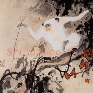 1960年 张其翼《红叶白猴》国画花鸟作品图片赏析