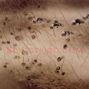 1992年 贾广健《秋籁无声》国画花鸟作品图片赏析