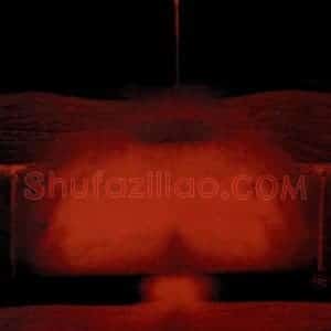 2006年 卢禹舜《八荒通神》国画山水作品图片赏析