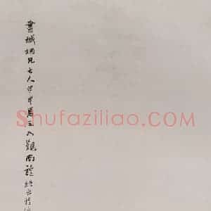 1884年 任伯年《陆书城像》国画人物写意作品图片赏析