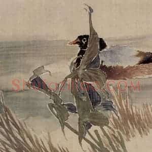 清代 任伯年《花鸟册三帧》国画花鸟写意作品图片赏析