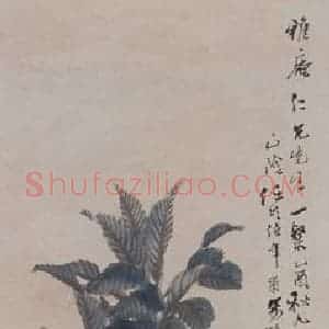 清代 任伯年《鹦鹉枇杷》国画花鸟作品图片赏析