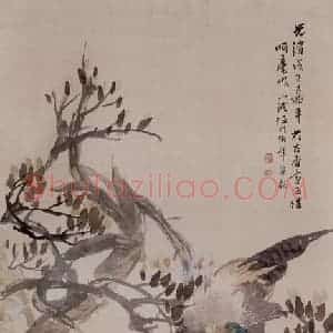 清代 任伯年《玉兰锦鸡图》国画花鸟作品图片赏析