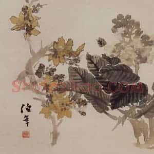 清代 任伯年《花卉册》国画花鸟作品图片赏析