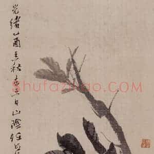 清代 任伯年《蔬果册八开》国画花鸟作品图片赏析