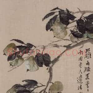 清代 任伯年《蔬果册八开》国画花鸟作品图片赏析