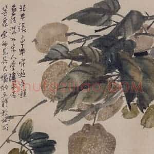 清代 任伯年《花果册八开》国画花鸟作品图片赏析