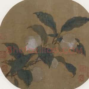 宋代《夜合花图》国画花鸟作品图片赏析