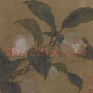 宋代《夜合花图》国画花鸟作品图片赏析