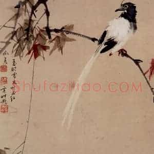 50年代 蒋凤白《玉羽雪衣叶正红》国画花鸟作品图片赏析
