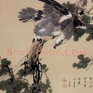 70年代 蒋凤白《鹰》国画花鸟作品图片赏析