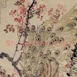 70年代 蒋凤白《樱花孔雀》国画花鸟作品图片赏析