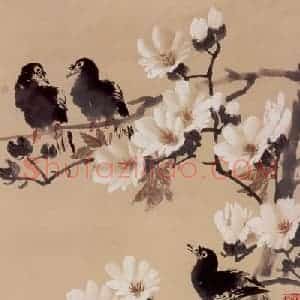 70年代 蒋凤白《八哥玉兰》国画花鸟作品图片赏析