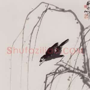 70年代 蒋凤白《八哥》国画花鸟作品图片赏析