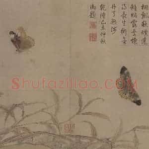 宋代 赵昌《写生蛱蝶图》国画花鸟工笔作品图片赏析
