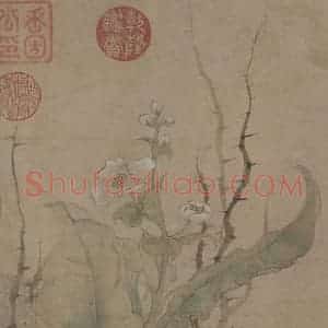 宋代 赵昌《写生蛱蝶图》国画花鸟工笔作品图片赏析