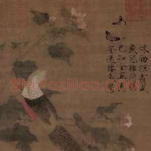 宋代 赵佶《芙蓉锦鸡图》国画花鸟作品图片赏析