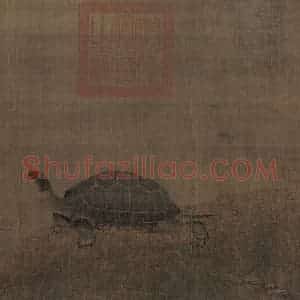 金代 张圭《神龟图》国画综合作品图片赏析