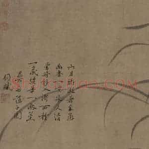宋代 赵孟坚《墨兰图》国画花鸟工笔作品图片赏析
