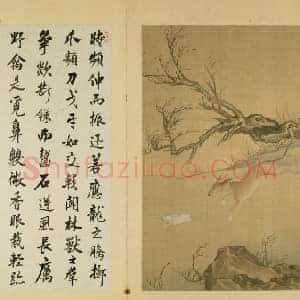 十犬图册