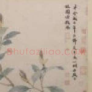 沈周辛夷墨菜图卷