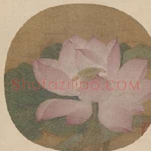 出水芙蓉图页