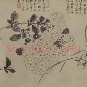 周之冕百花图卷