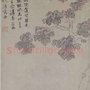 唐寅桐阴清梦图轴