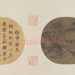 赵佶枇杷山鸟图页