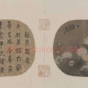 朱绍宗菊丛飞蝶图页