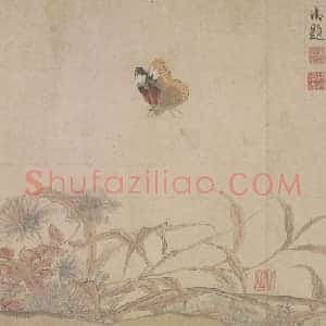 赵昌写生蛱蝶图卷