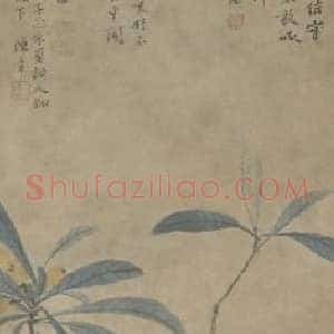 沈周枇杷图轴