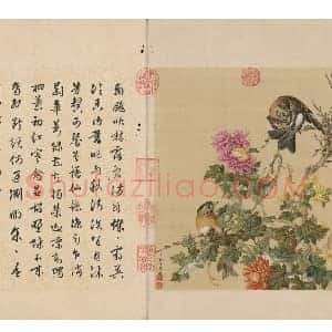 郎世宁花鸟图册